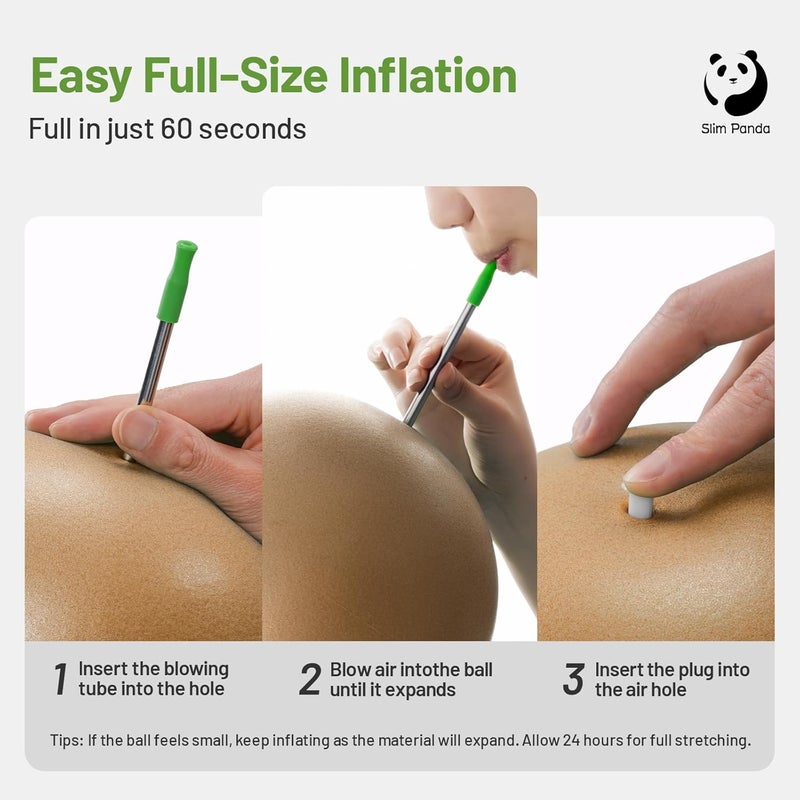 Slim Panda Pilates Ball, 9 Inch Small Exercise Ball, Anti Burst Mini Yoga Ball for Stability, Workout, Barre, Core Strength, Physical Therapy, Balance, Stretching - Image 4